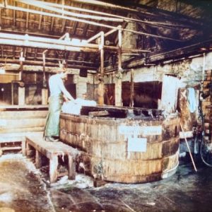 A paddle in the wet yard, Baily's Photo: Terry Gulliford