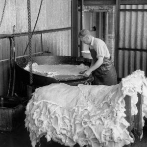 'Oiling on' part of the stoving process, Glastonbury 1960 Photo: John Morland